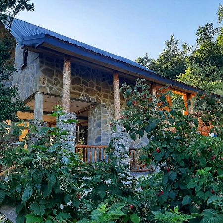 Fern Farm Eco Studio Apartment Mojkovac Zewnętrze zdjęcie