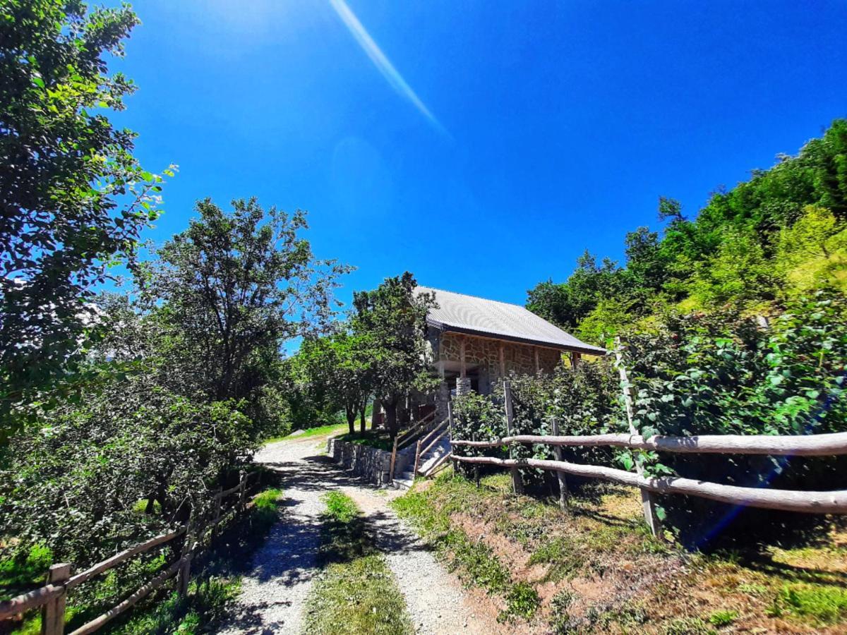 Fern Farm Eco Studio Apartment Mojkovac Zewnętrze zdjęcie